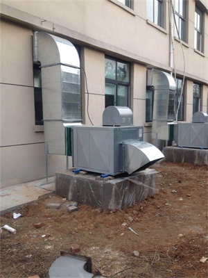 ���������̹���