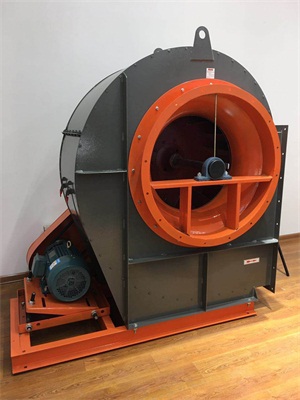 ���ϳ�������